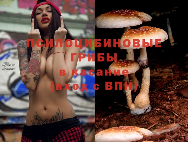 ECSTASY Медногорск