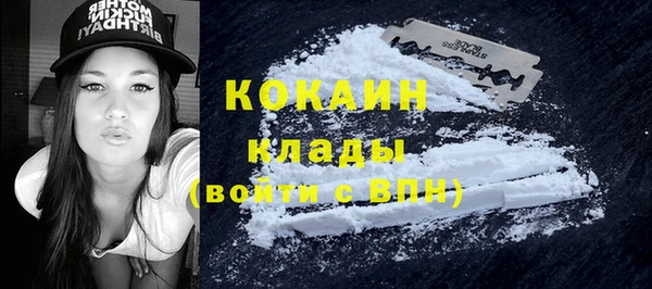 мдпв Майский