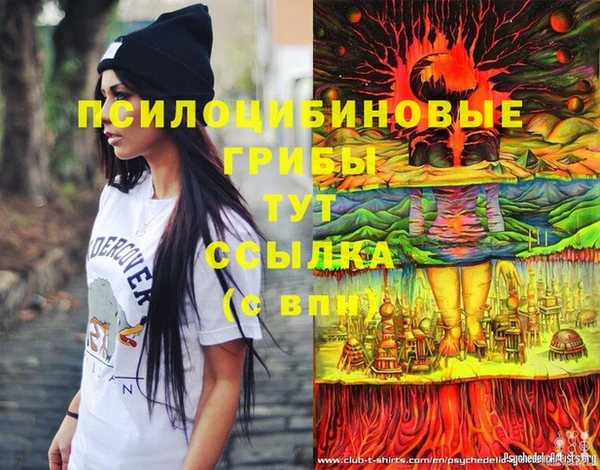 марки nbome Медвежьегорск